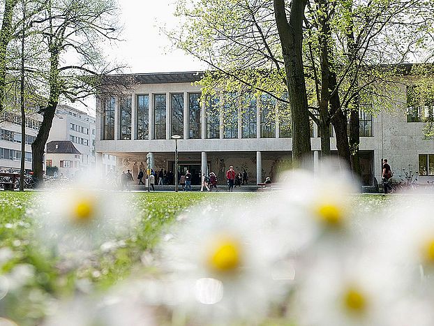 Universität Basel, Kollegienhaus