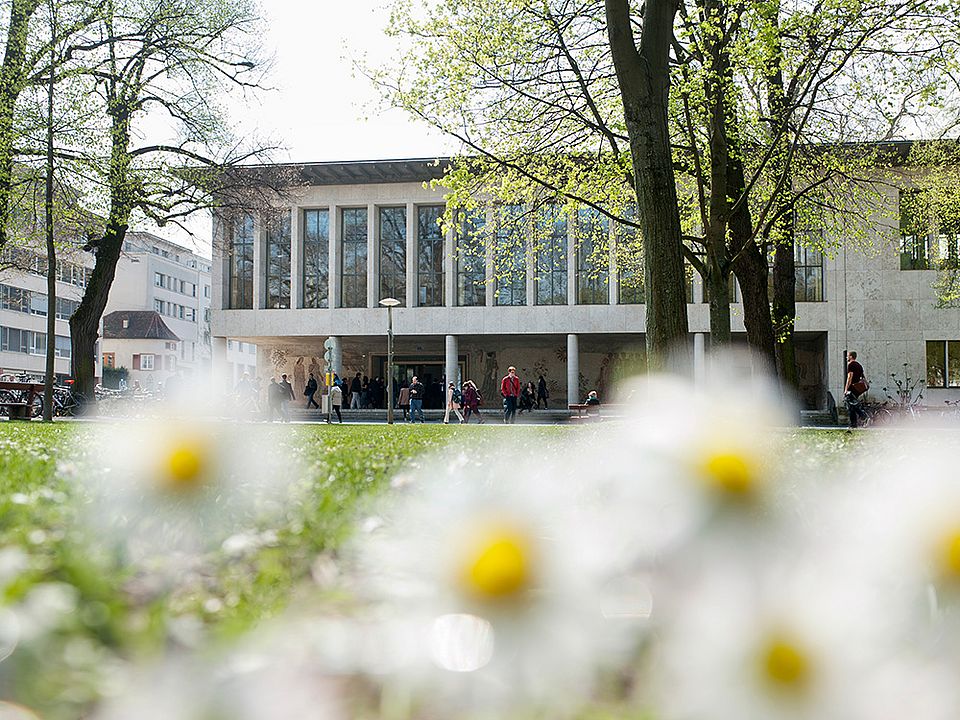 Universität Basel, Kollegienhaus